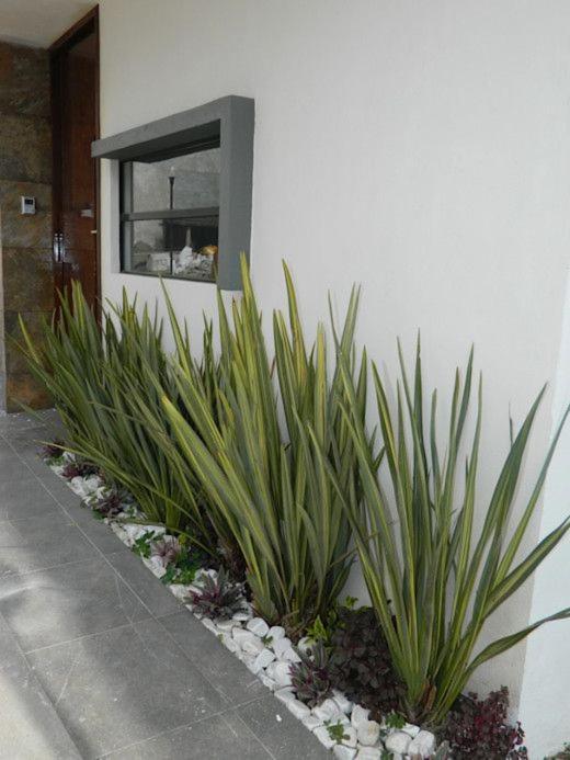 Apartamento Erita Alicante Exterior foto